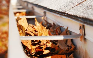 Belgravia gutter cleaning companies