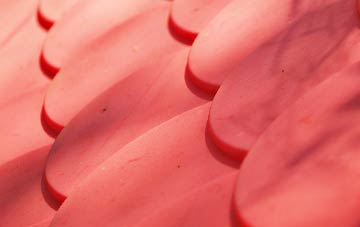 Belgravia plastic roof costs